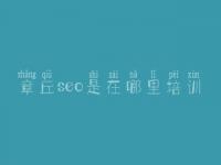 章丘seo是在哪里培训，国内网站建设