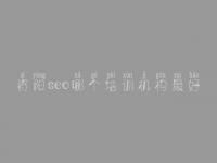 资阳seo哪个培训机构最好 seo网络营销视频教程