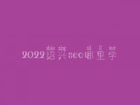 2022绍兴seo哪里学_费用标准_联系方式