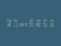 通辽seo黑帽培训_高端黑帽实操