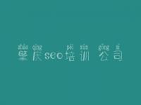 肇庆seo培训 公司，好的seo教程书