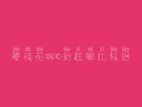 攀枝花seo到底哪比较好_通常学费得好多