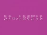赵县seo黑帽教程视频_高级黑帽实战