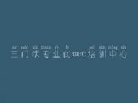 三门峡专业的seo培训中心 自学seo教程