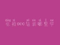 张掖seo培训哪里学_排名seo优化平台