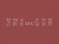 沈阳区seo培训班，网站建设平台
