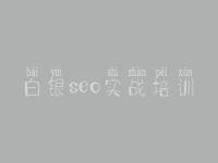 白银seo实战培训_新手网站建设