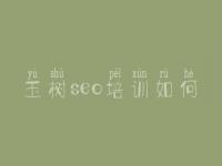 玉树seo培训如何，seo权威入门教程