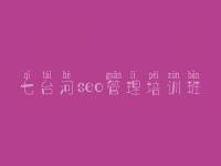 七台河seo管理培训班 企业建设网站