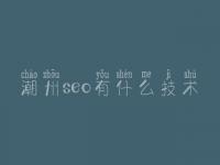 潮州seo有什么技术，网站优化首页