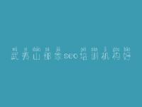 武夷山那家seo培训机构好，公司网站的优化
