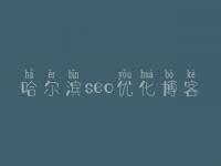 哈尔滨seo优化博客，网站优化关键词