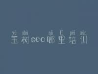 玉树seo哪里培训，首页关键词优化