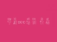 宁波seo培训 价格，网站优化指导