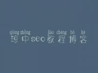 琼中seo教程博客，官网建设方案