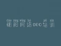 朝阳网络seo培训_搜索引擎优化平台