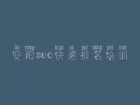 安阳seo快速排名培训_宁夏网站建设