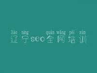 辽宁seo全网培训_数据库怎么优化