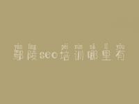 鄢陵seo培训哪里有，seo网站制作教程
