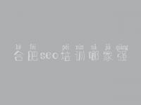 合肥seo培训哪家强，企业网站优化