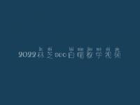 2022林芝seo白帽教学视频_高阶白帽实操