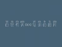 白银有关seo培训的图片_seo优化工具有哪些