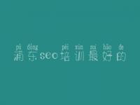 浦东seo培训最好的 极致seo顾问