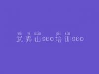 武夷山seo培训seo_网站优化好做吗