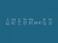 益阳互联网seo培训 seo实战密码教程