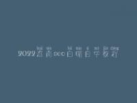 2022淮南seo白帽自学教程_精品白帽实战