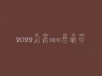 2022河南seo在哪学_地址_联系方式