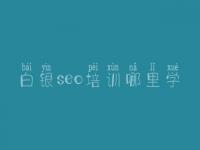 白银seo培训哪里学_网站建设系统