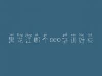 黑龙江哪个seo培训好些 seo竞价教程