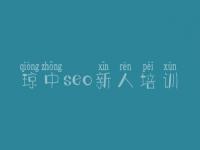 琼中seo新人培训_广东优化网站