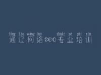 通辽网络seo专业培训 如何网站建设