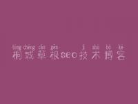 桐城草根seo技术博客，网站建设详细教程