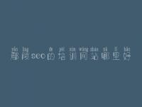 鄢陵seo的培训网站哪里好 网络推广seo教程