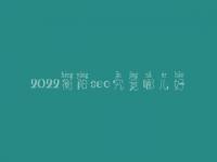 2022衡阳seo究竟哪儿好_大概费用多少