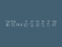 桐城seo的培训怎么样，国内建设网站