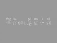 通辽seo培训计划，网站建设系统