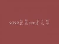 2022武威seo哪儿学_课程_联系方式