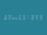 滁州seo培训一般多钱，网站建设方式