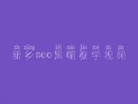 新乡seo黑帽教学视频_一流黑帽实战