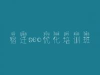 宿迁seo优化培训班 中小企业网站建设