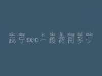 咸宁seo一般费用多少_费用_服务