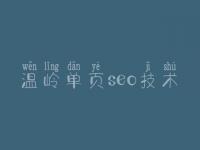 温岭单页seo技术_建设网站公司