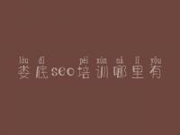 娄底seo培训哪里有，seo基础教程视频