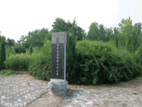 师旷论学的意思和本文(师旷论学的意思)