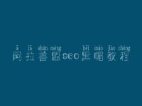 阿拉善盟seo黑帽教程_高级黑帽实战