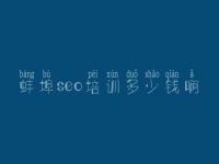 蚌埠seo培训多少钱啊 网站seo优化公司
